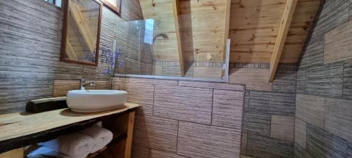 baño con lavabo y pared de madera en Vista Hermosa Laguna Verde, en Laguna Verde