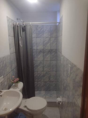 a bathroom with a shower and a toilet and a sink at Casa de Isabel in Arequipa