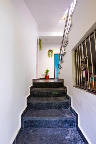 a staircase in a house with a plant at Goan Fiesta Studio CALANGUTE GOA in Calangute