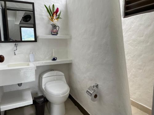 ein Badezimmer mit einem WC, einem Waschbecken und einem Spiegel in der Unterkunft Cabaña Las Palmas 