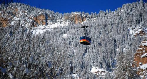 a snowboarder flying through the air over a forest at Dolasilla Park Hotel in Vigo di Fassa