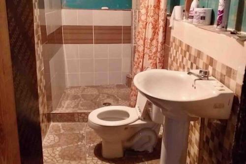 y baño con aseo y lavamanos. en Private Cabin in San Blas, en Waisalatupo