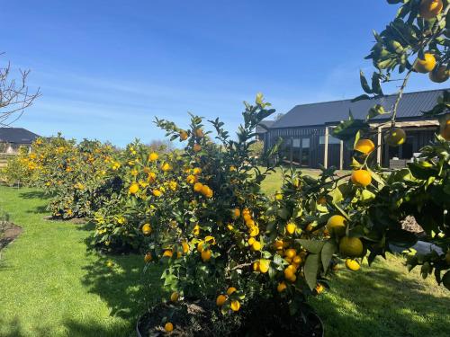 Un jardín fuera de Ballygelvar