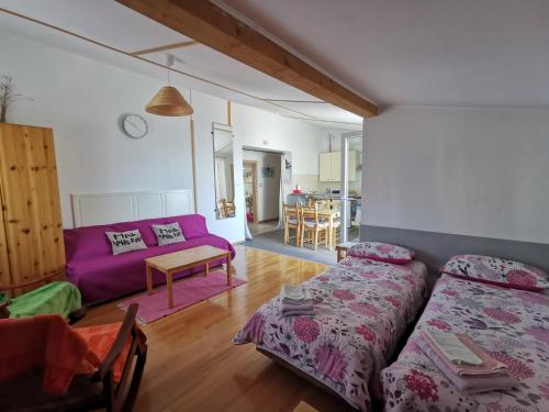 ein Wohnzimmer mit 2 Betten und einem lila Sofa in der Unterkunft Anita Studio apartment with terrace in Rijeka