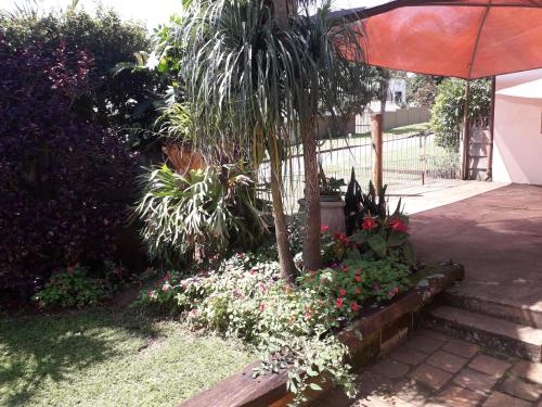 a garden with a palm tree and some flowers at Birdcage B&B in Amanzimtoti