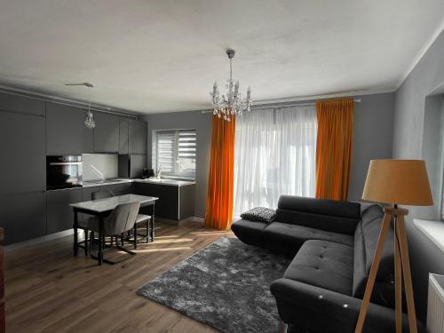 Tiberiu Ricci Apartament