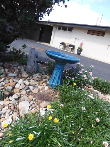 Taman di luar Dalby Parkview Motel