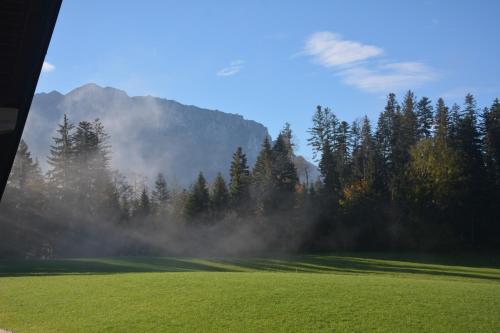 a green field with trees and mountains in the background at Ferienappartement Rettenschöss in Rettenschöss