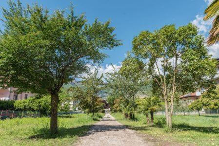 Fotografia z galérie ubytovania Geranio-Buganville-Viola v destinácii Arco