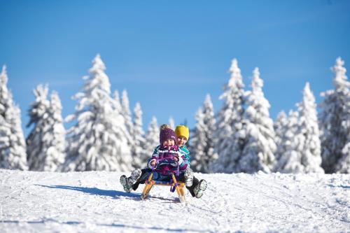 two children sitting on a sled in the snow at Hotel Brinje in Zreče