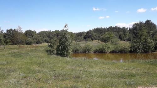 ein Feld mit einem Fluss und Bäumen im Hintergrund in der Unterkunft Sielska Chata in Fabianki
