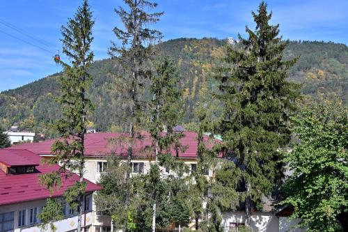 eine Baumgruppe vor einem Berg in der Unterkunft Durau Residence in Piatra Neamţ