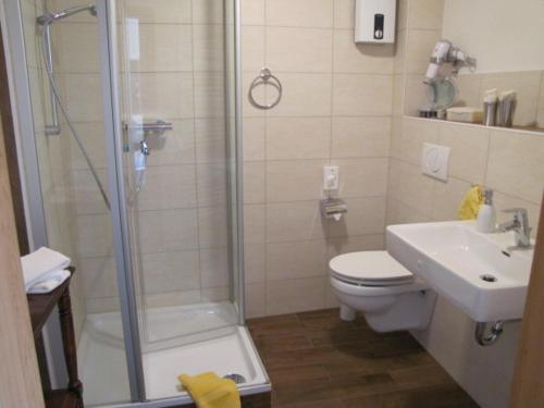 a bathroom with a shower and a toilet and a sink at Pension Zur Schlummerstube in Guntersblum