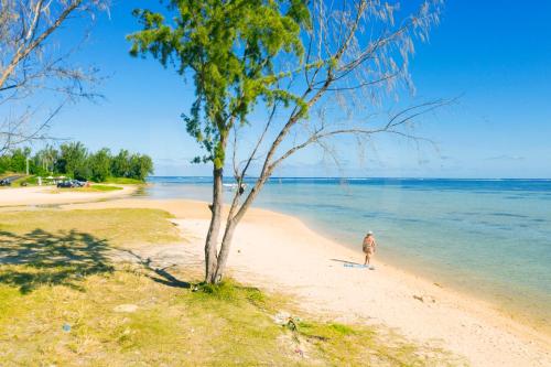 a man walking on a beach with a tree at La Case Najoli in Choisy