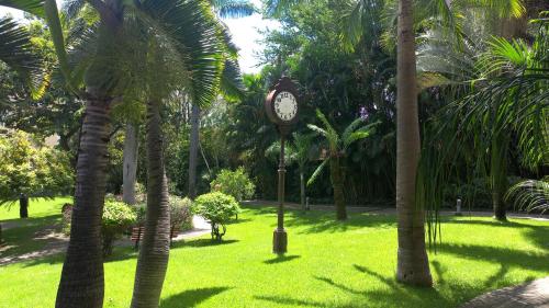 a clock in the middle of a park with palm trees at Holiday Inn Cuernavaca by IHG in Cuernavaca
