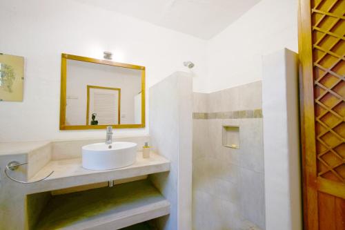 a bathroom with a sink and a mirror at La Case Najoli in Choisy