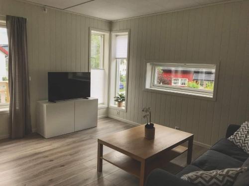 TV a/nebo společenská místnost v ubytování Hillegård