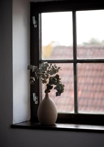 Galería fotográfica de Hotel Pivoňka en Slavonice