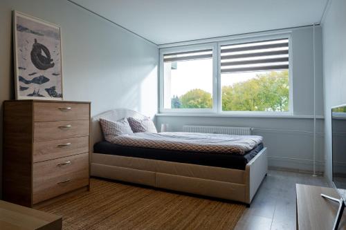 um quarto com uma cama e uma janela em DAILY Apartment em Anykščiai
