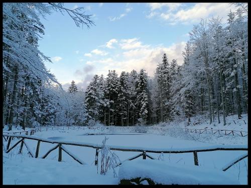 Appartamento La Foresta Abetone v zimě