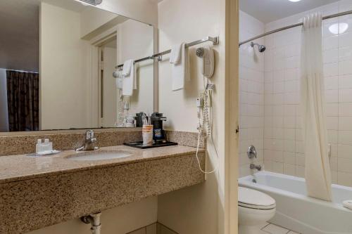 a bathroom with a sink and a toilet and a mirror at Quality Inn At Town Center in Beaufort