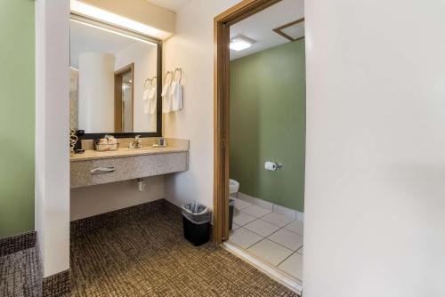 a bathroom with a sink and a mirror at Sleep Inn Airport in Sioux Falls