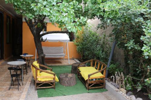 a patio with chairs and a table and a tree at Hostal Vicmar in Viña del Mar