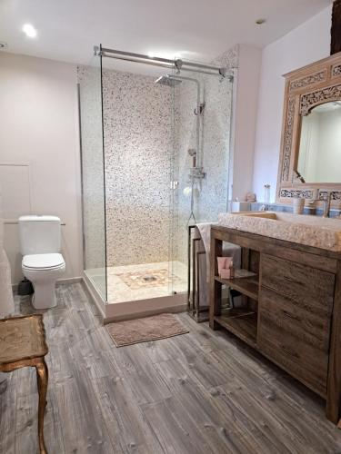 W łazience znajduje się prysznic, toaleta i umywalka. w obiekcie La Loggia - chambres d'hôtes w mieście Rieux