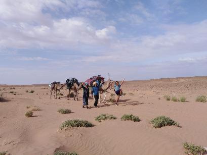 a group of people walking in the desert with a camel at Auberge la Palmeraie in Mhamid