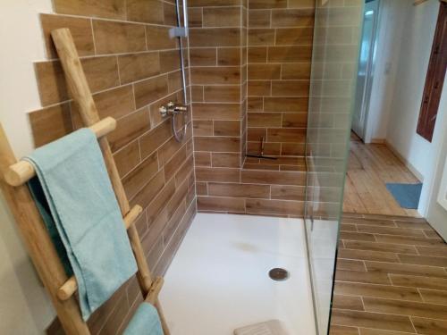 a shower in a bathroom with a glass door at Gästehaus Am Hilkenberg OG in Husen