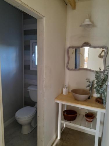 ein Badezimmer mit Toilette und Spiegel in der Unterkunft Los pinares in Santa Clara del Mar