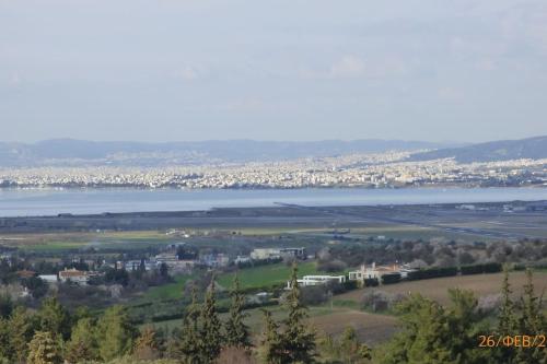 A bird's-eye view of Villa Georgius