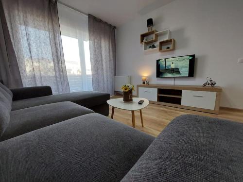 salon z kanapą i telewizorem z płaskim ekranem w obiekcie Apartment Altipiani Panoramic Silver w Braszowie