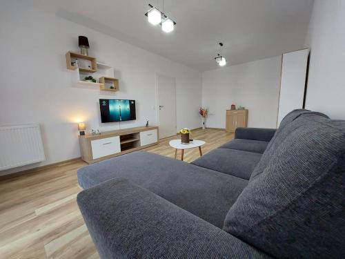 salon z kanapą i telewizorem w obiekcie Apartment Altipiani Panoramic Silver w Braszowie