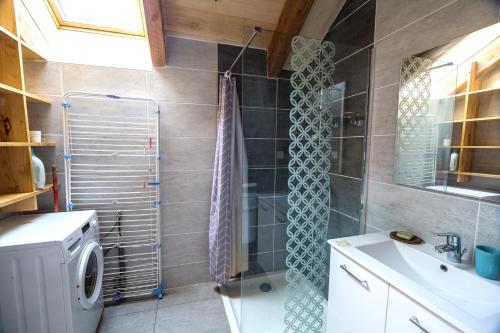 uma casa de banho com um chuveiro e um lavatório. em Appartement de 2 chambres avec balcon amenage a Saint Come d'Oltc em Saint-Côme-dʼOlt