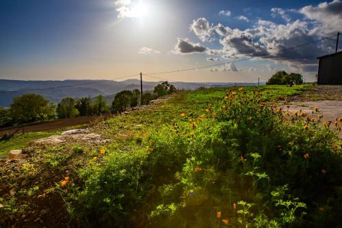 a field of flowers with the sun in the sky at Appartement charmant à Saint-Côme-d'Olt - 80 m² avec balconc in Saint-Côme-dʼOlt