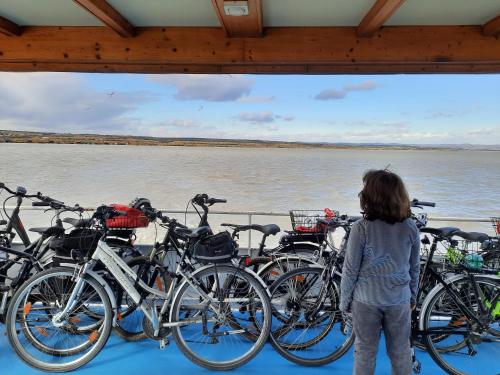 una mujer de pie en un barco con un montón de bicicletas en Weissenbacherhof B&B en Oslip