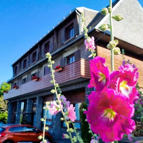 a bunch of pink flowers in front of a building at Hôtel Les Charmilles in Besse-et-Saint-Anastaise