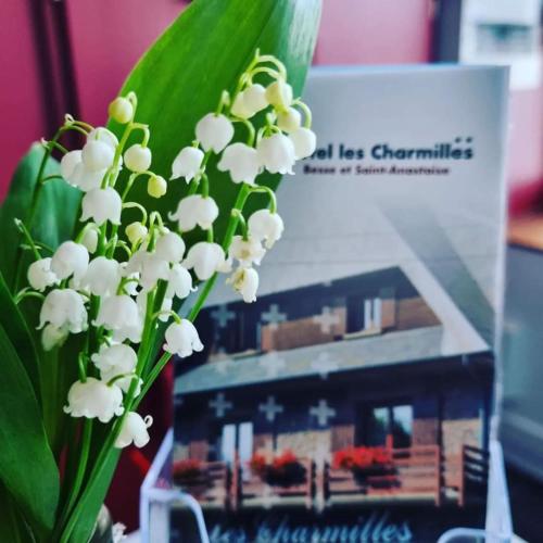 a vase of white flowers with a building in the background at Hôtel Les Charmilles in Besse-et-Saint-Anastaise