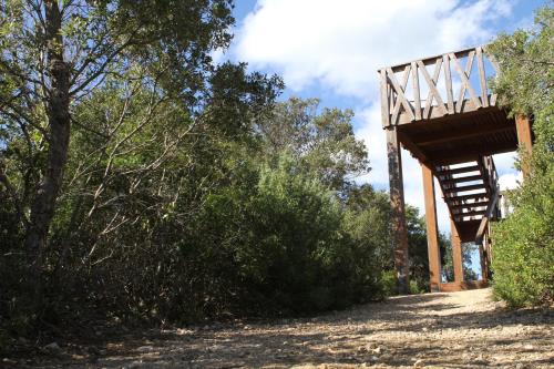 a wooden bridge over a dirt road with trees at Tenuta Agricola dell'Uccellina in Talamone
