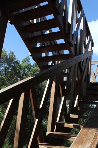 a wooden bridge with stairs in a park at Tenuta Agricola dell'Uccellina in Talamone