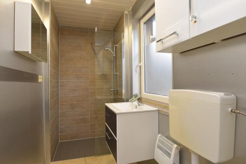 ein Bad mit einem WC, einem Waschbecken und einer Dusche in der Unterkunft Ferienhaus Zeulenrodaer Meer in Stelzendorf