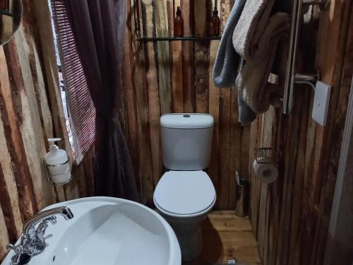 een kleine badkamer met een toilet en een wastafel bij SHABBY FUFU LIFESTYLE FARM in Plettenbergbaai