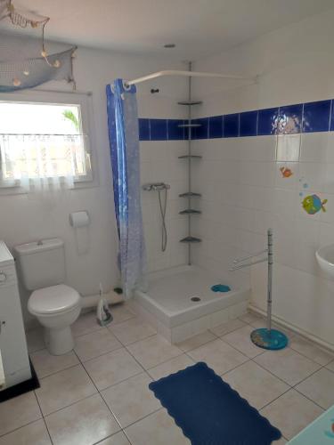 une salle de bain avec toilettes, douche et lavabo dans l'établissement Mas de la garrigue 13, à Saint Pierre La Mer