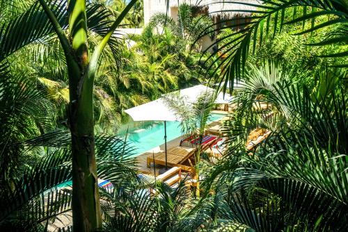 a view of a pool with palm trees at Hotel Gallo de Mar in Puerto Escondido
