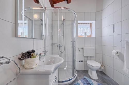 uma casa de banho com um chuveiro, um lavatório e um WC. em Albino in Kršan (Haus für 6 Personen) em Kršan