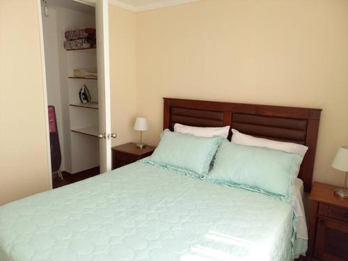 1 dormitorio con 1 cama grande con almohadas azules en Lindo y acogedor Depto en el centro de la ciudad, en Santiago