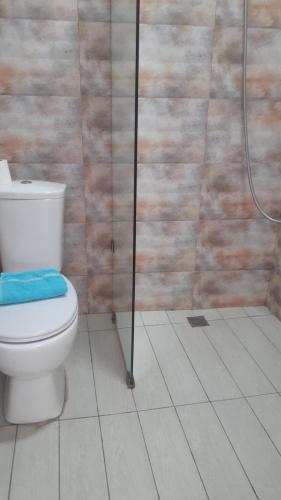 a bathroom with a toilet and a shower at Family house in Borjomi