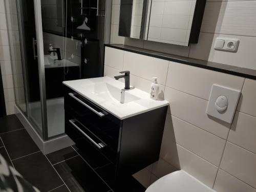 a bathroom with a sink and a toilet and a mirror at Gasthaus Paula in Üdersdorf