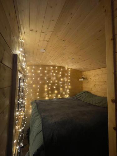 a room with a bed with lights on the wall at Chez Célia, Roulotte en Champagne in Fleury-la-Rivière